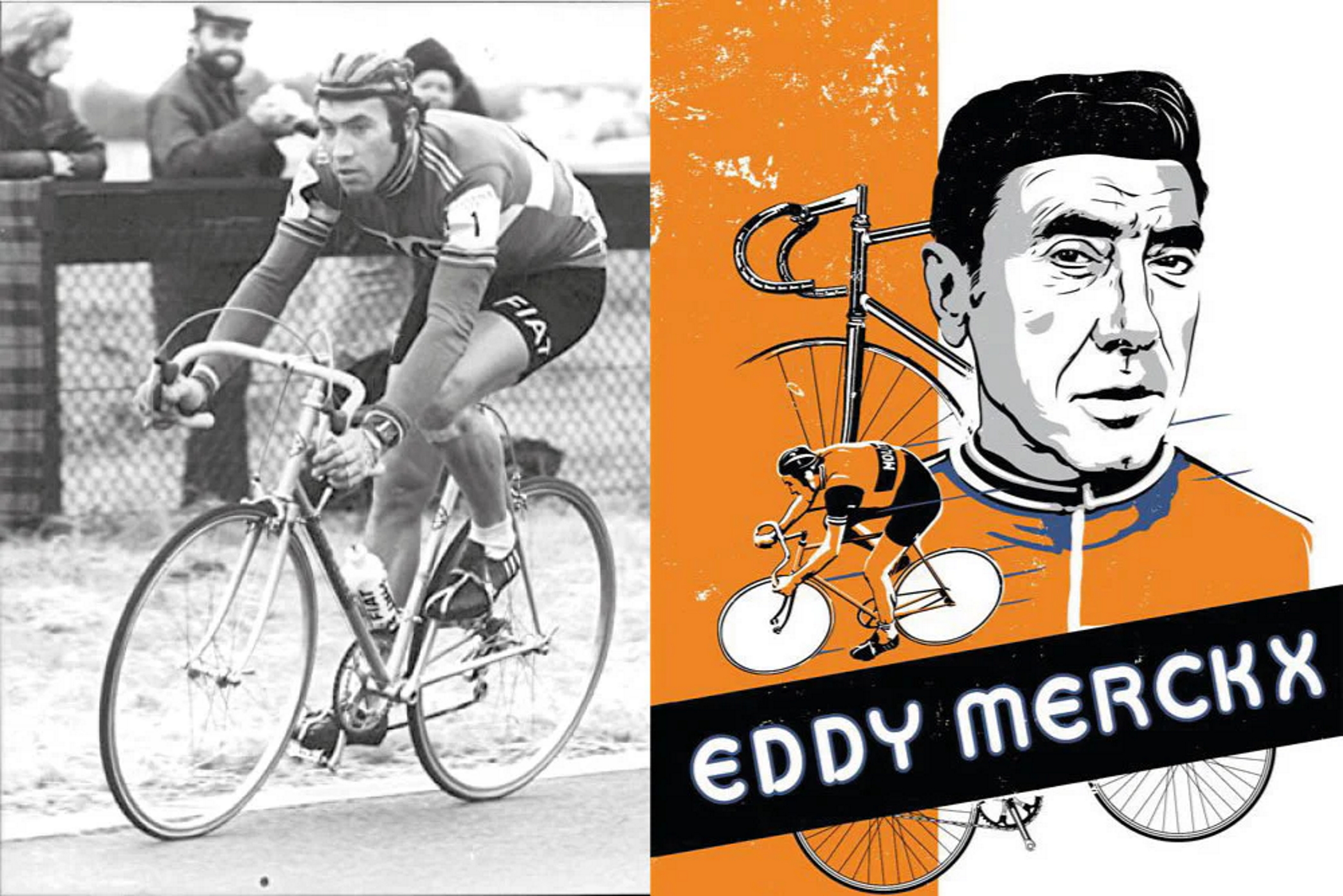 EDDY MARCKX